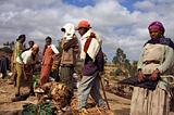 Ethiopia - Mercato lungo la strada per il sud - 03